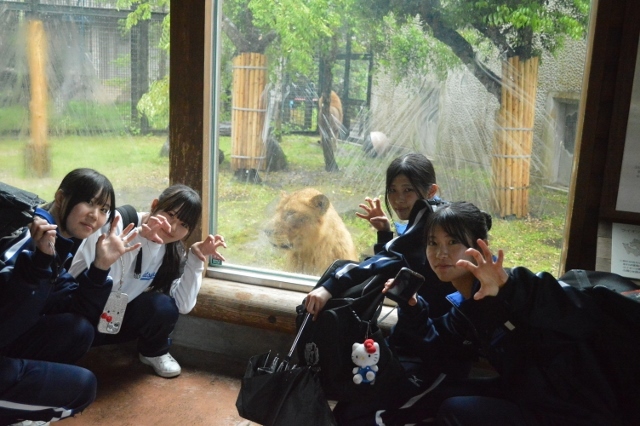 DSC_0015 (640x426)