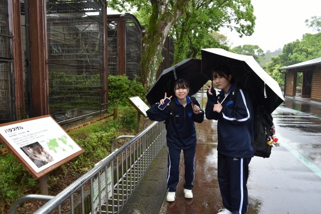 DSC_4389 (640x428)