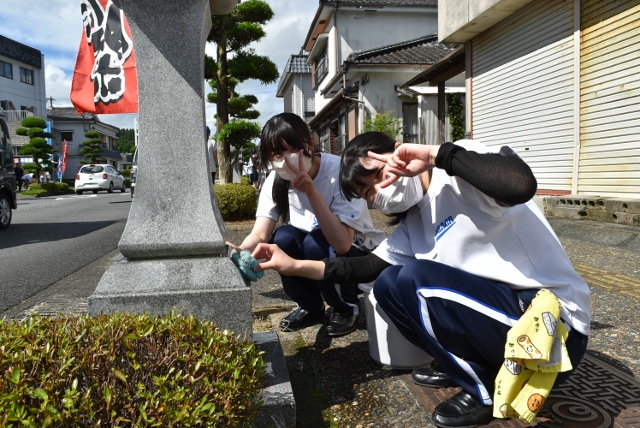 DSC_6040 (640x428)