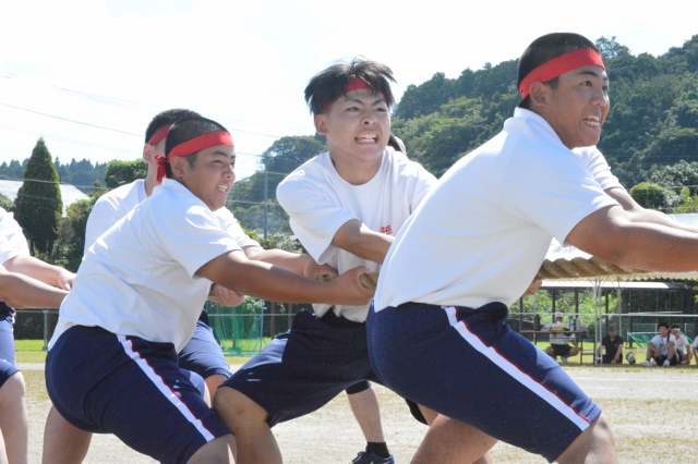 DSC_0061 (640x426)
